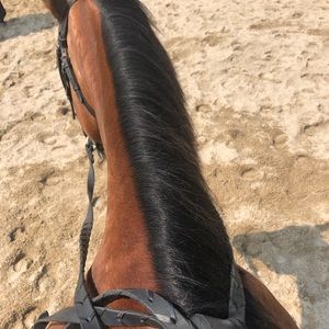 Meet your Posher, May